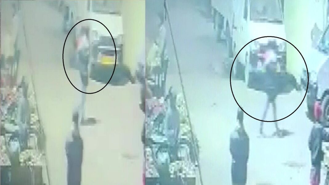 bhalsva girl kidnaping & raping case