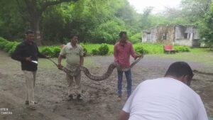 MAHIDPUR PYTHON
