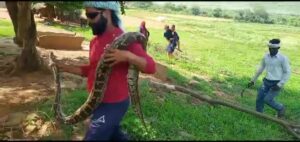 UJJAIN SNAKE MAHIDPUR