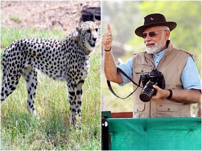 PM MODI in Kuno National Park , MP