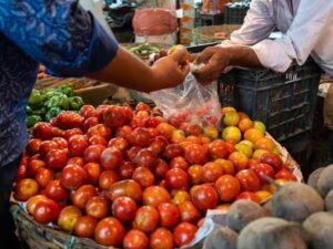 TOMATO IN MARKET