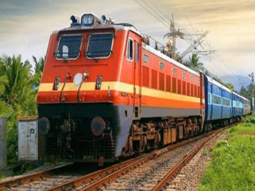 Stray Dog in train