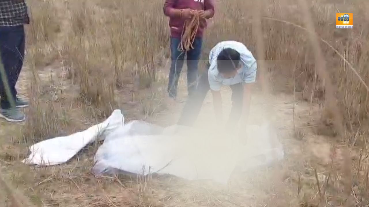 Jamui