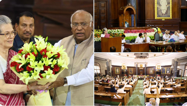 Congress Parliamentary Party (CPP) Chairperson