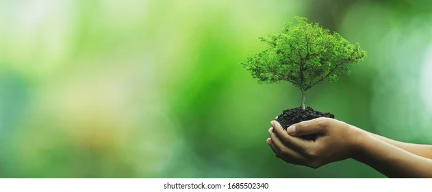 Save Tree Campaign 