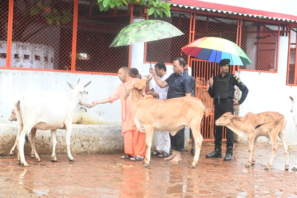 CM Yogi with cows