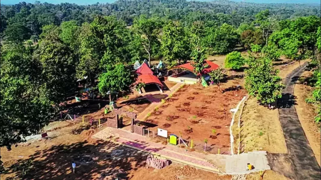 Tree Plantation Campaign