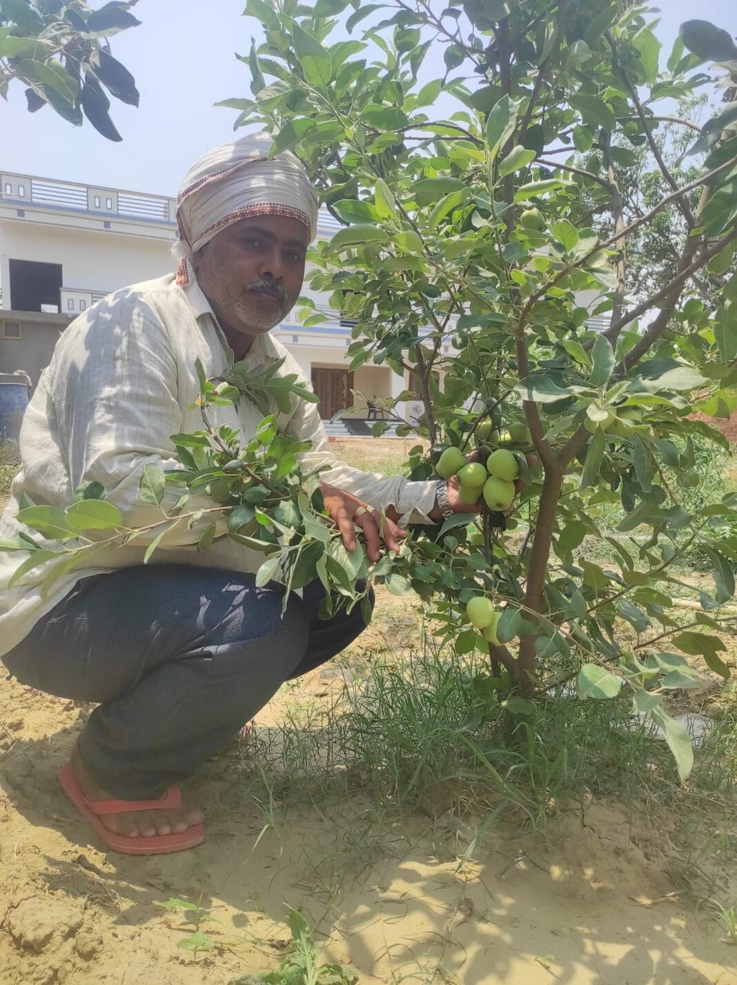 Gorakhpur Apple Farmer
