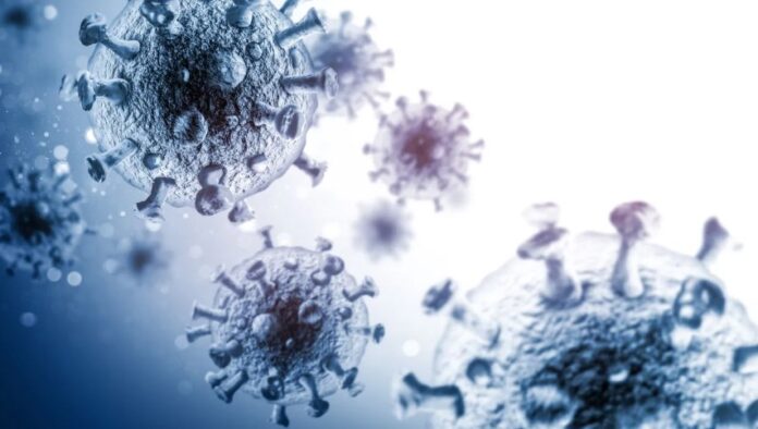 virus