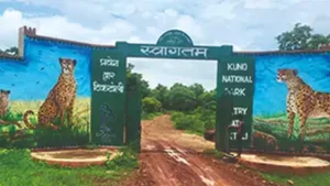 Kuno National Park, Madhya Pradesh