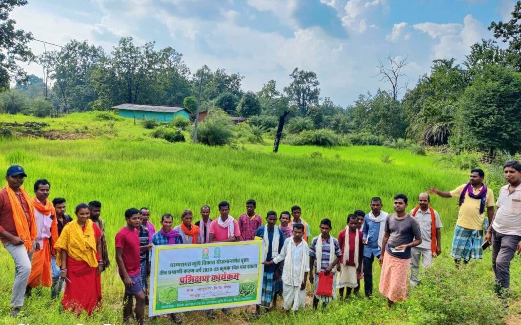 Dantewada