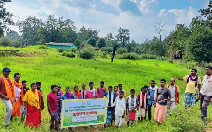 Dantewada