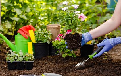 gardening