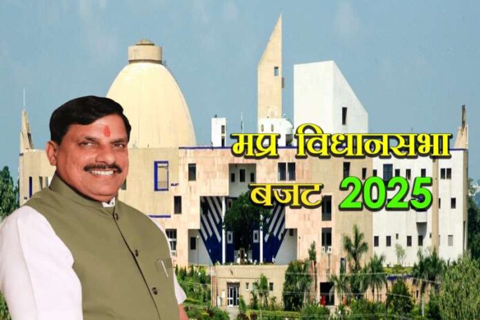 MP_Assembly_Budget_2025-1.jpg