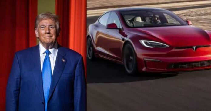 Donald Trump Tesla Car