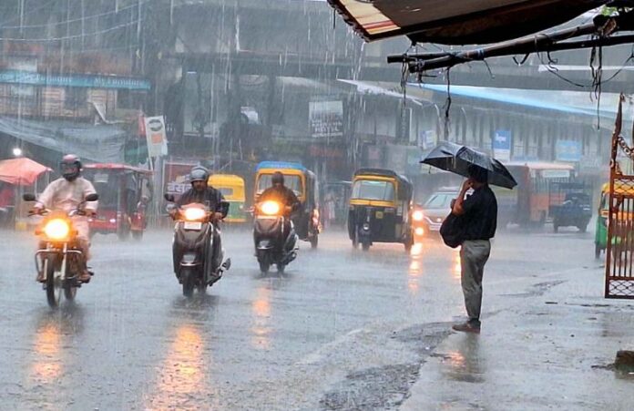 barish-1-1.jpg