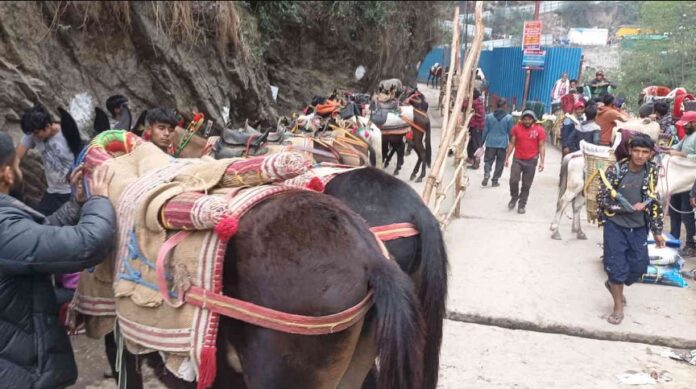 Chardham Yatra