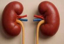 कई हिस्सों में नजर आने लगते हैं किडनी डैमेज के संकेत