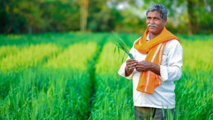 FARMER-.jpg