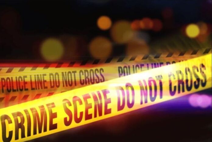 crime-8.jpg