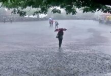 मध्य प्रदेश में झमाझम बारिश का दौर, 40+ जिलों के लिए IMD ने जारी किया येलो अलर्ट