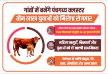 य़ूपी में गोशालाओं से बदलेगी गांवों की तस्वीर,3 लाख युवाओं को मिलेगा रोजगार UP Panchgavya Cluster Yojana