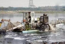यमुना को स्वच्छ बनाने के लिए NDDB से होगा बड़ा समझौता