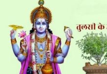 योगिनी एकादशी पर करें तुलसी के महाउपाय, खुल जाएंगे सुख-समृद्धि के द्वार