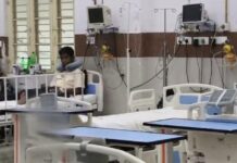 स्कूल में जहरीले सांप का आतंक, छात्र अमजद खान को काटा, मचा हड़कंप