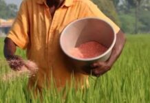 किसानों के साथ धोखाधड़ी? खाद गोदाम पर तय कीमत से ज्यादा वसूली के आरोप