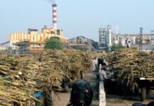 बिहार में चीनी उद्योग को मिलेगी नई रफ्तार, तीन बंद मिलों को चालू करने की तैयारी