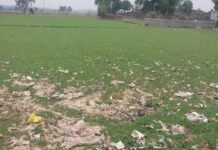 कोडरमा के खेतों में प्लास्टिक का जाल, खेती और पर्यावरण दोनों पर खतरा