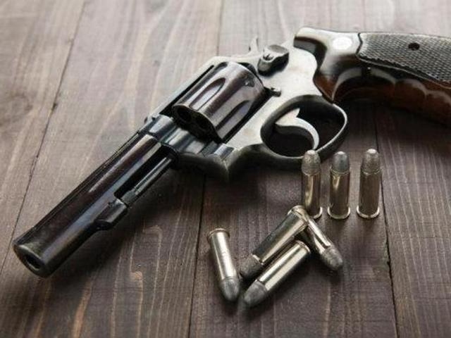 revolver-gun_b8b0130e-549d-11e6.jpg