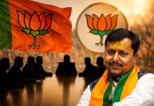 BJP New Team: नितिन नवीन की नई टीम लगभग तैयार, विनोद तावड़े-हरीश द्विवेदी को मिल सकती है बड़ी जिम्मेदारी Nitin Navin's new team